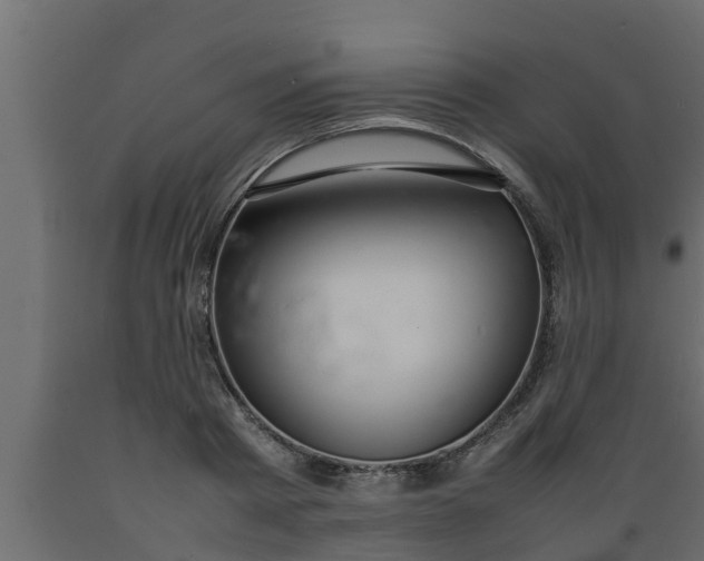 X0000089460793200707061302