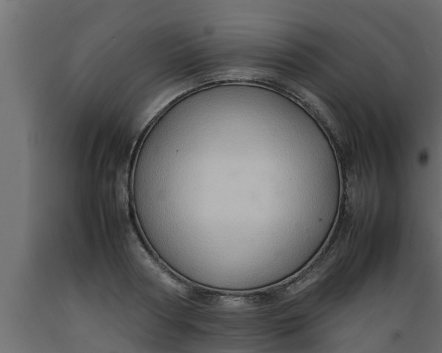 X0000089460794200707061302