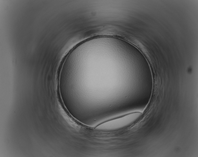 X0000089460795200707061302