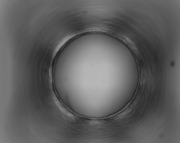 X0000089460796200707061302