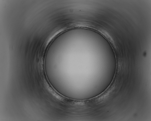 X0000089460798200707061302