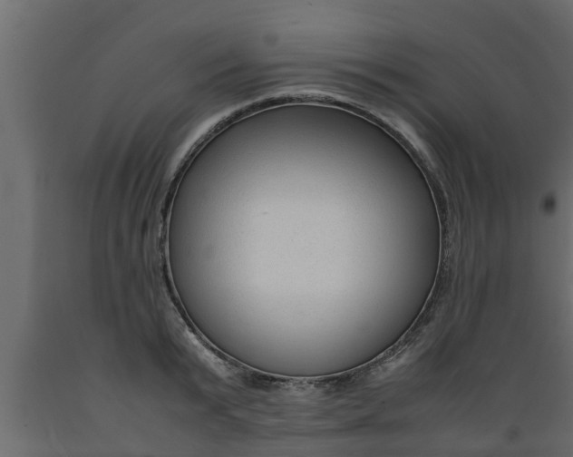 X0000089460799200707061302