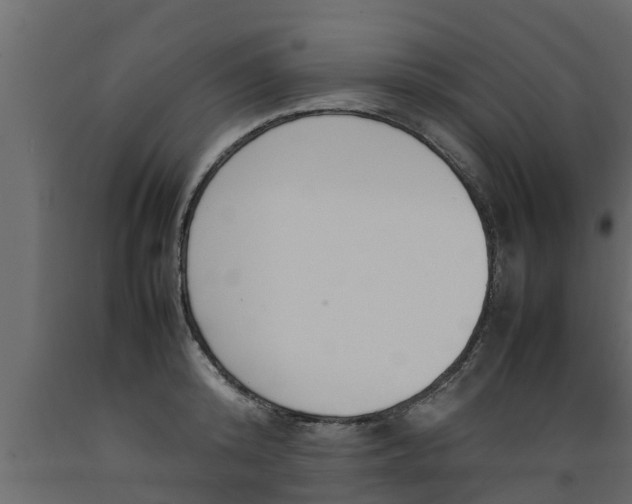 X0000089460800200707061302