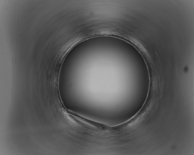 X0000089460801200707061302