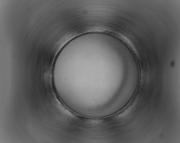 X0000089460802200707061302