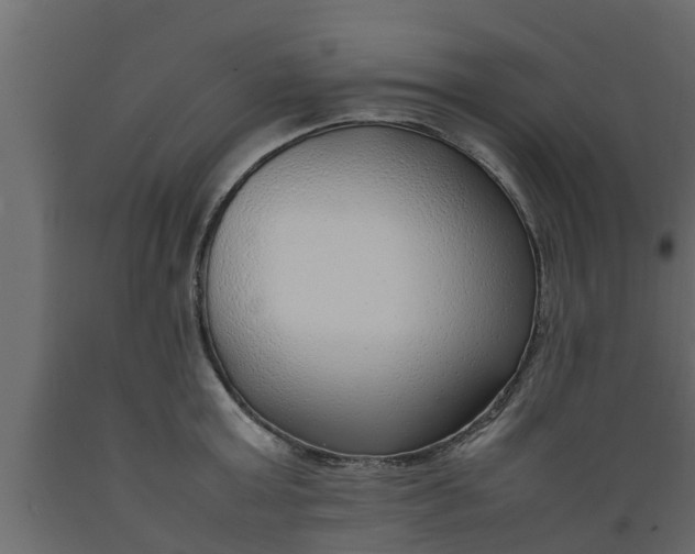 X0000089460803200707061302