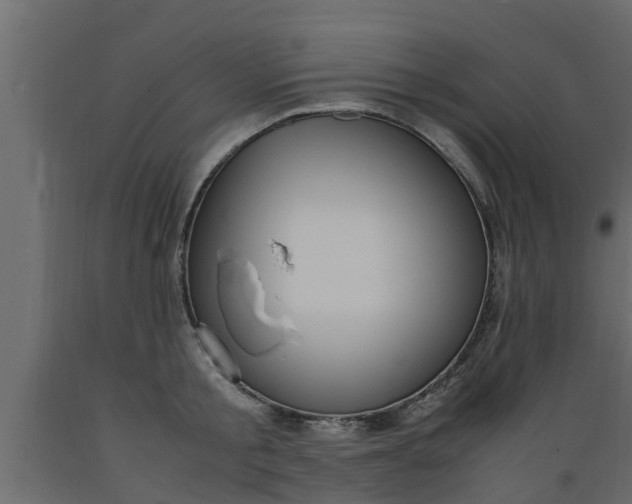 X0000089460805200707061302