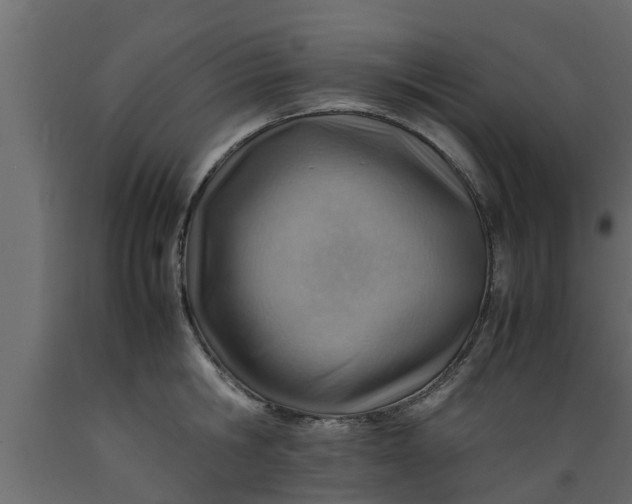 X0000089460806200707061302