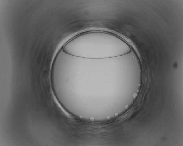 X0000089460807200707061301