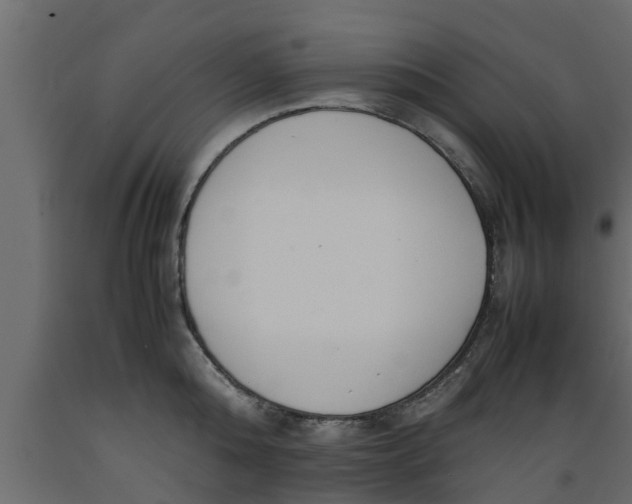X0000089460808200707061301