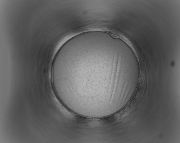 X0000089460811200707061301