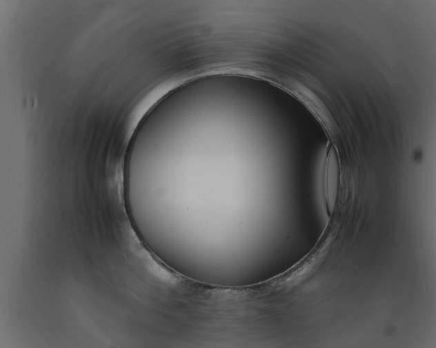 X0000089460812200707061301