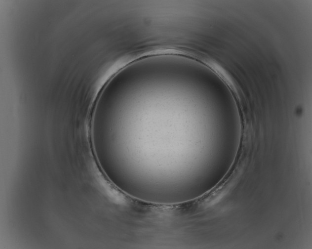X0000089460813200707061301