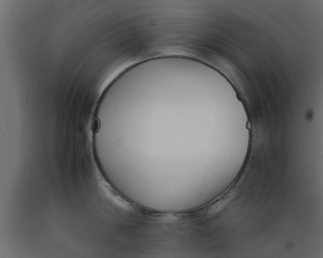 X0000089460814200707061301