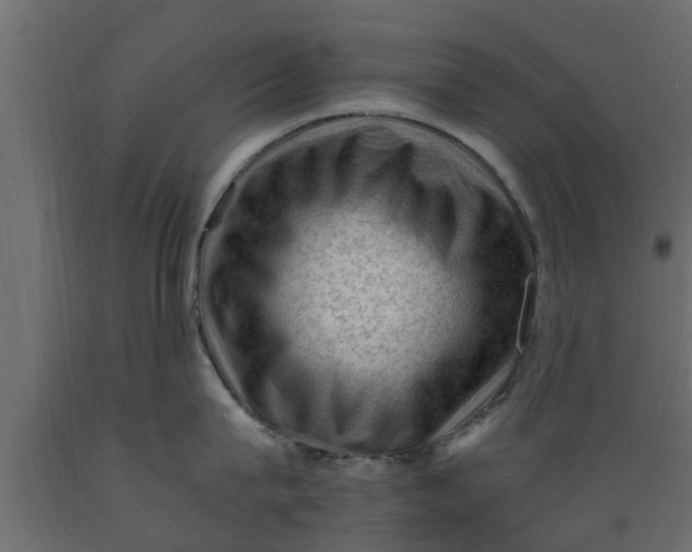 X0000089460815200707061301