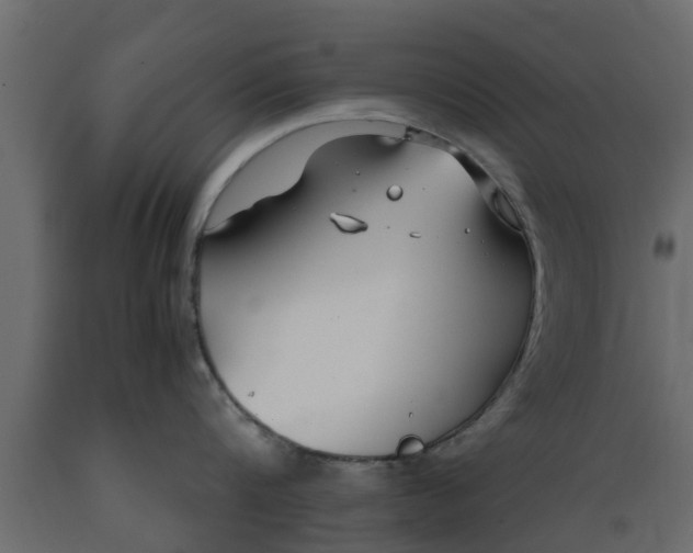 X0000089460816200707061301