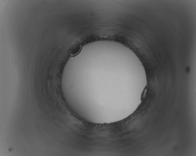 X0000089460817200707061301