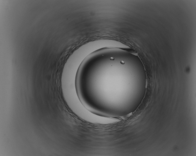 X0000089460818200707061301