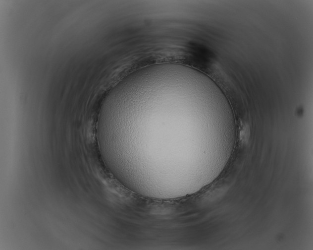 X0000089460819200707061301