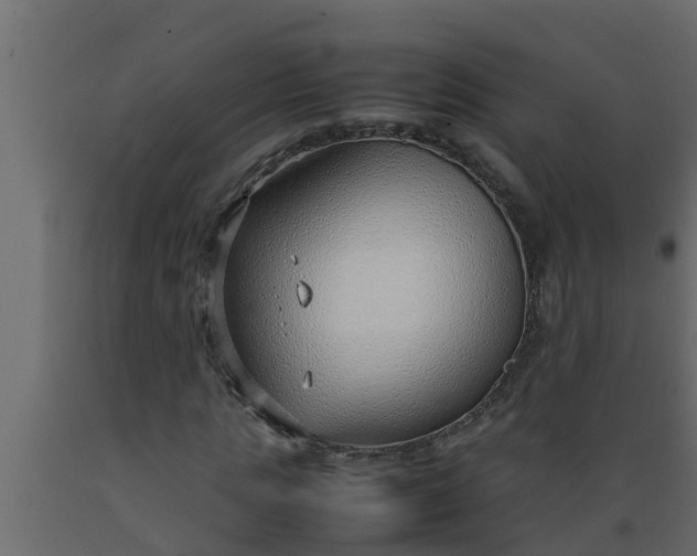 X0000089460821200707061301