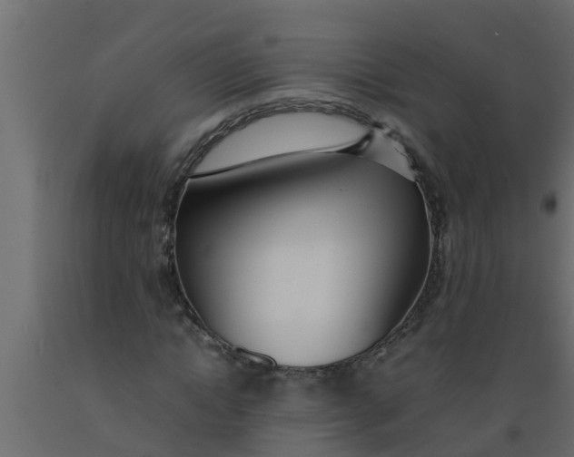 X0000089460822200707061301