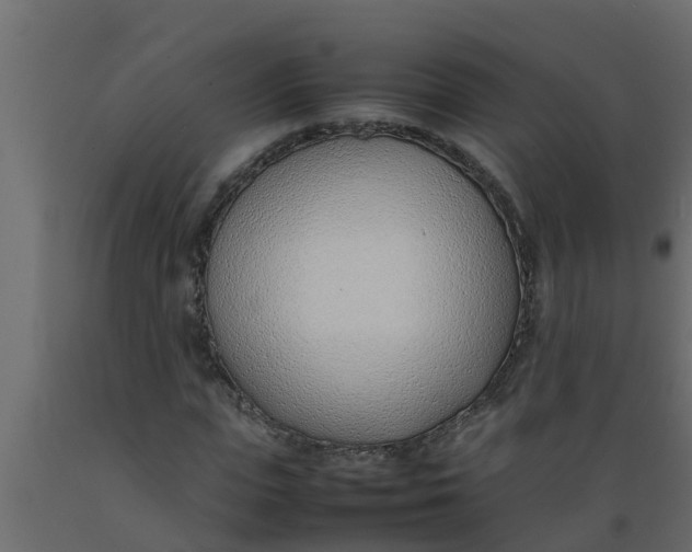 X0000089460823200707061301