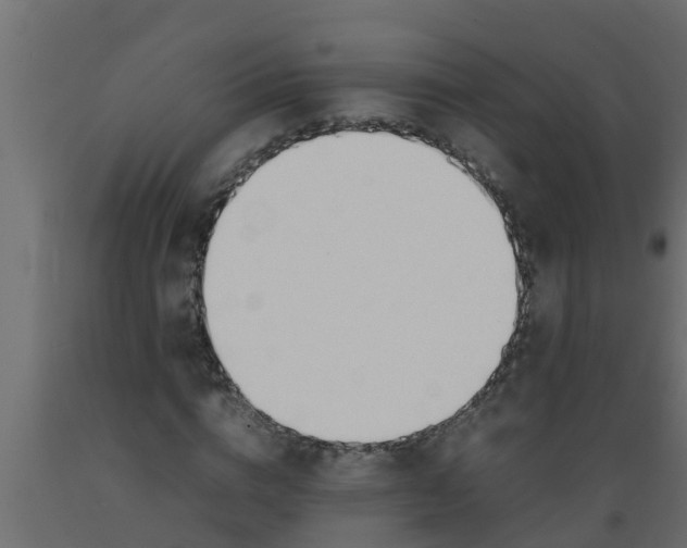 X0000089460824200707061301