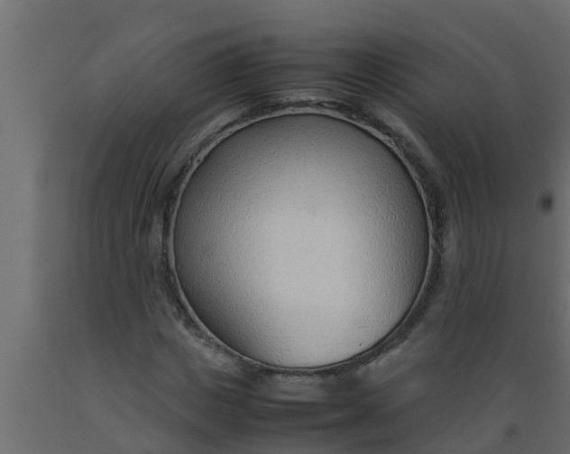 X0000089460825200707061301