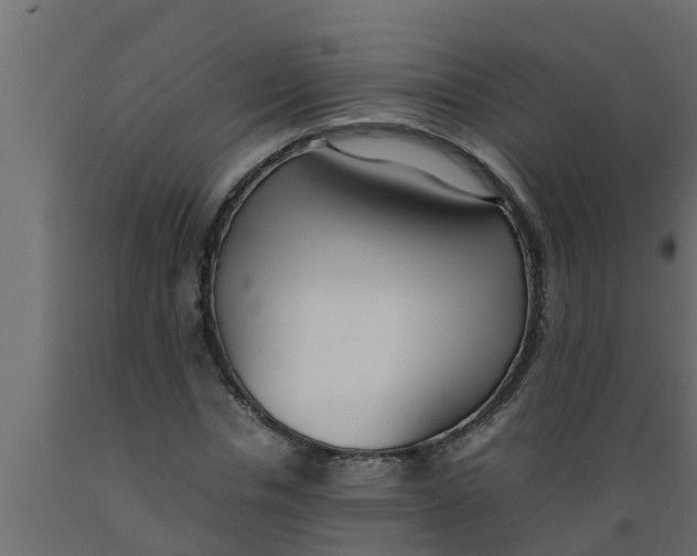 X0000089460826200707061301