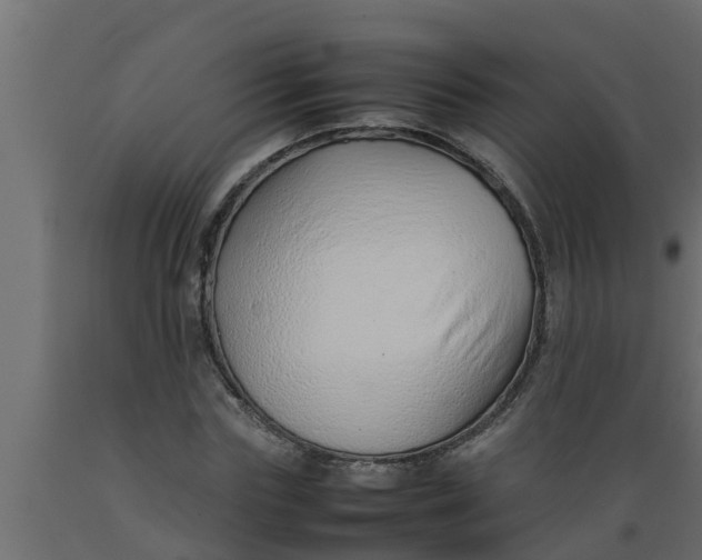 X0000089460827200707061301