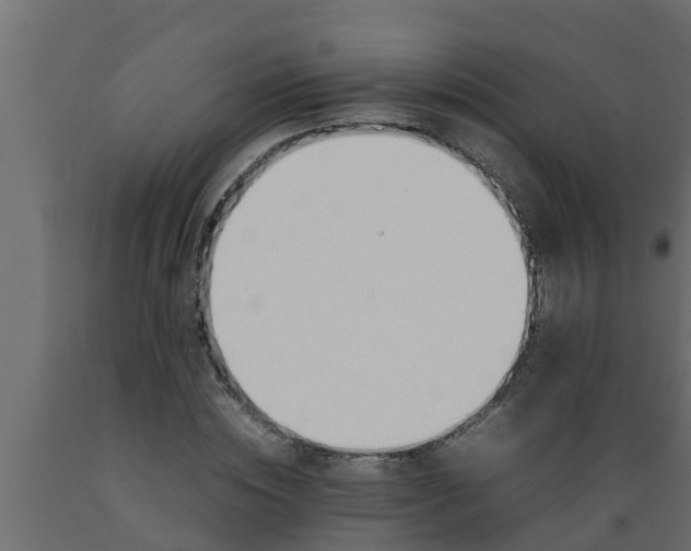 X0000089460828200707061301