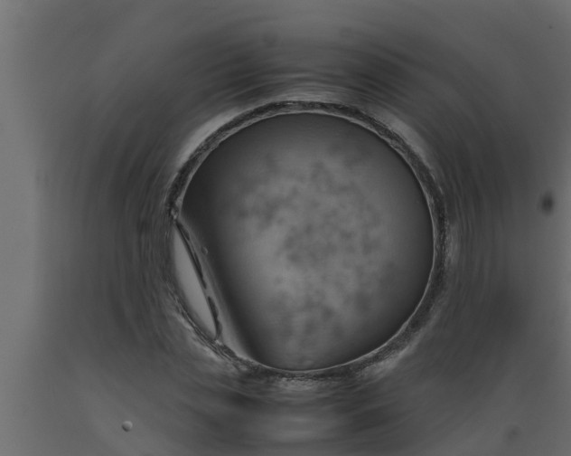 X0000089460829200707061301