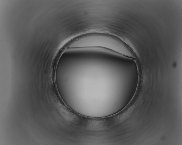 X0000089460830200707061301