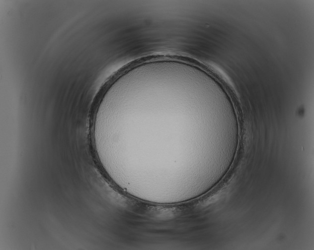 X0000089460831200707061301