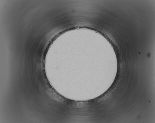 X0000089460832200707061301