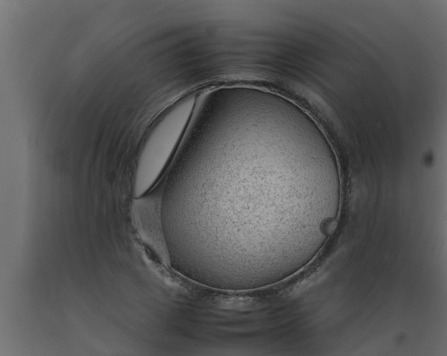 X0000089460833200707061301