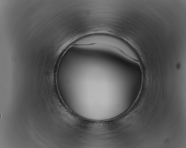 X0000089460834200707061301