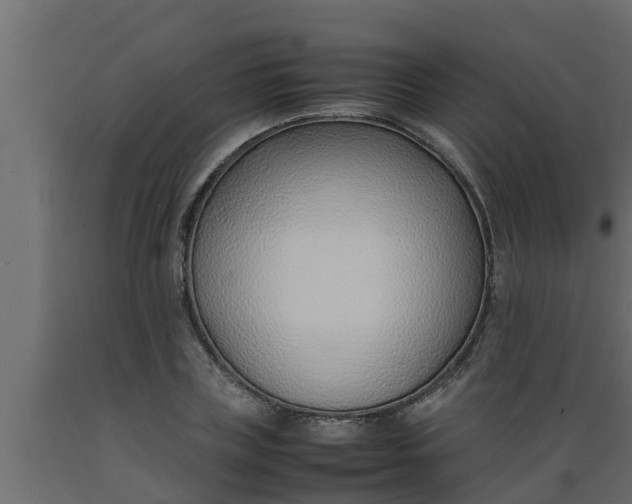 X0000089460835200707061301