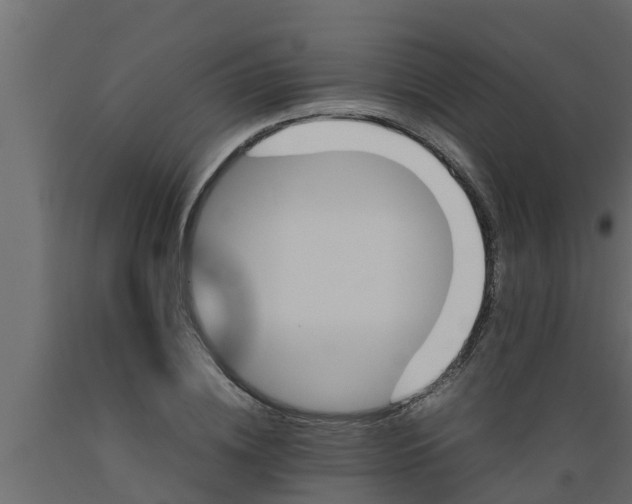 X0000089460836200707061301