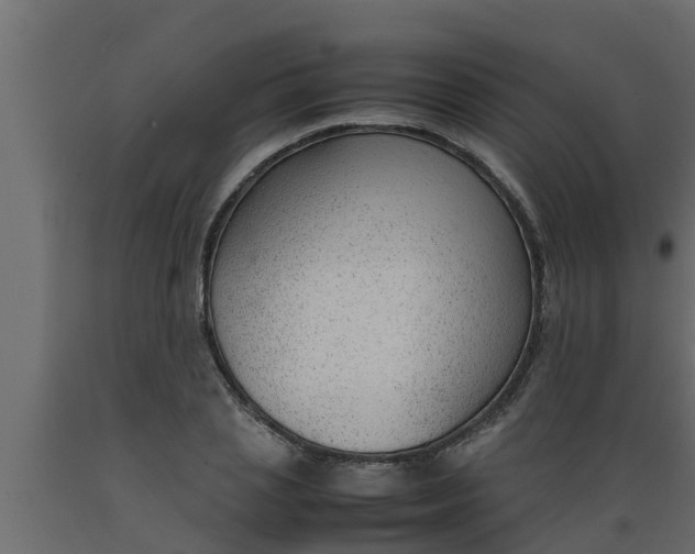 X0000089460837200707061301