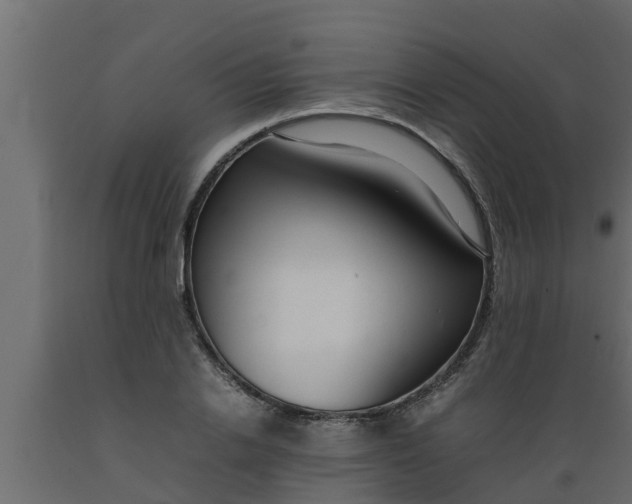 X0000089460838200707061301