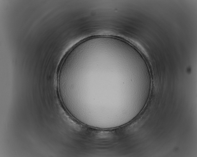 X0000089460839200707061301