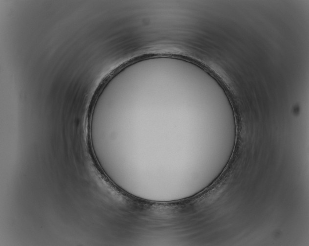 X0000089460840200707061301