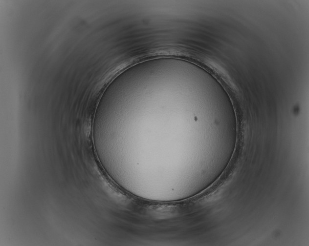 X0000089460841200707061301