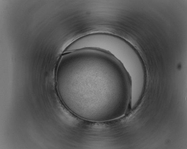 X0000089460842200707061301