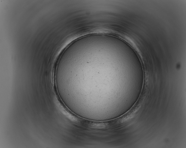 X0000089460843200707061301