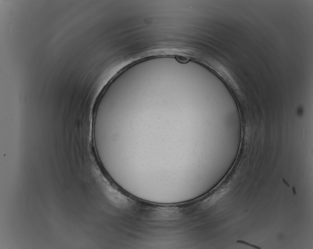 X0000089460844200707061301