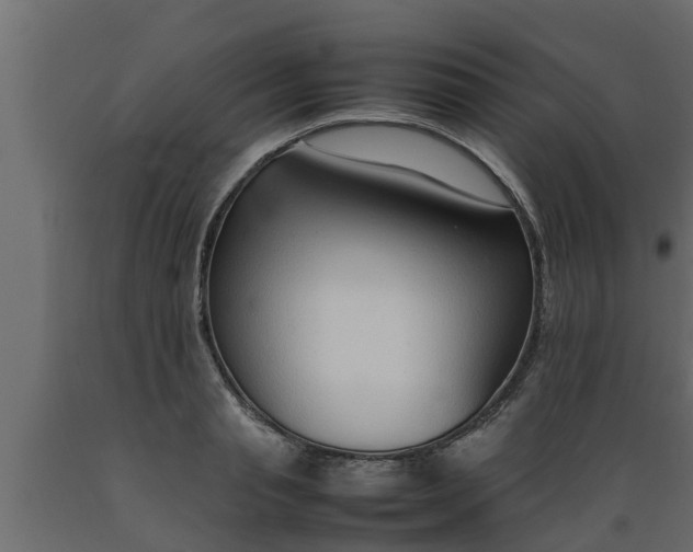 X0000089460845200707061301