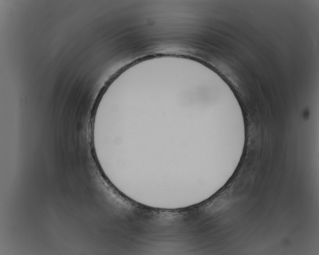 X0000089460848200707061301