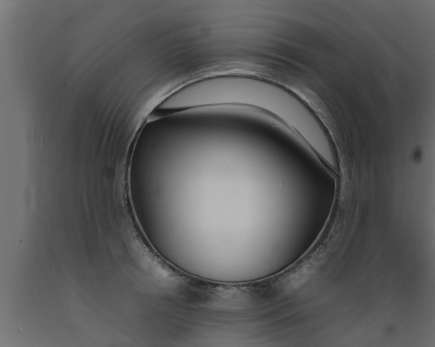 X0000089460850200707061301
